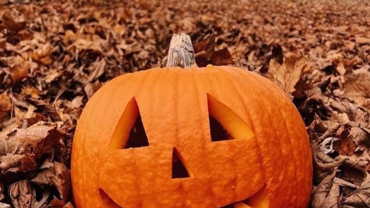 Themarondleidingen Halloween