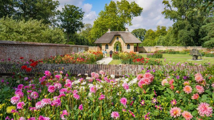 Keukenhof Dahlia Dagen