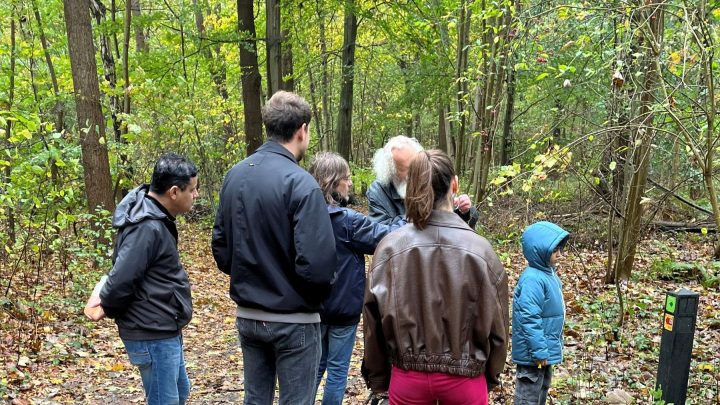 Boom en co wandeling