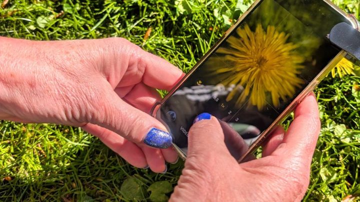 Workshop 'Macrofotografie met je smartphone' 4 juli
