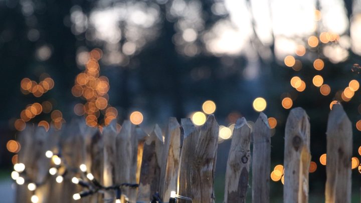 Kerstverlichting op Landgoed Keukenhof